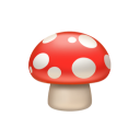 飲水思源的姊姊