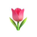 點天燈的豬五花