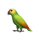 愛衝簽售的購物狂