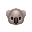 大智若愚的苦瓜