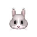 不看對光的大胖橘