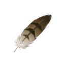 手機壞掉的鮭魚