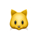 不看對光的漂亮紙片