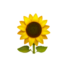 失去耐心的神槍手