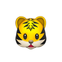 排球部的瑪奇瑪