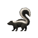 種瓜得豆的數學小老師