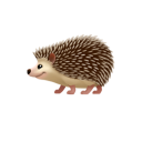 種豆得瓜的小蝴蝶