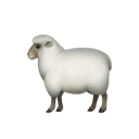 去練舞室打架的跆拳道黑帶