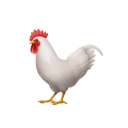 愛吃香菜的使者