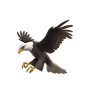 全收速匯的五條悟