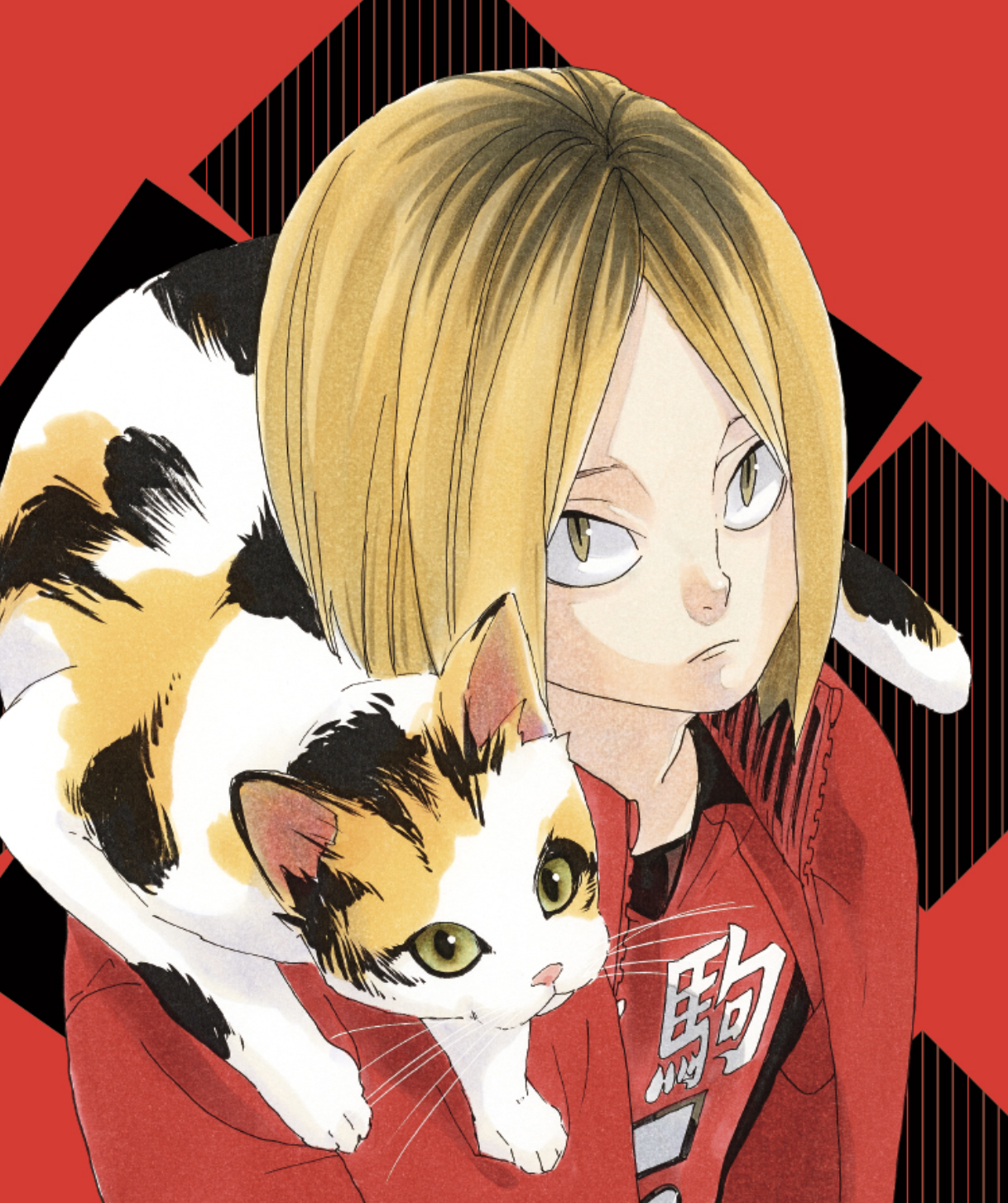 孤爪研磨 media 1