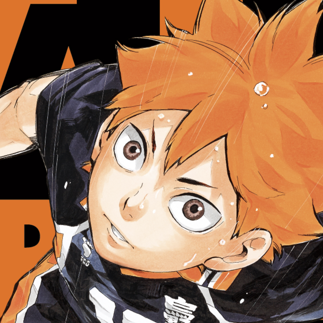 日向翔陽 media 1