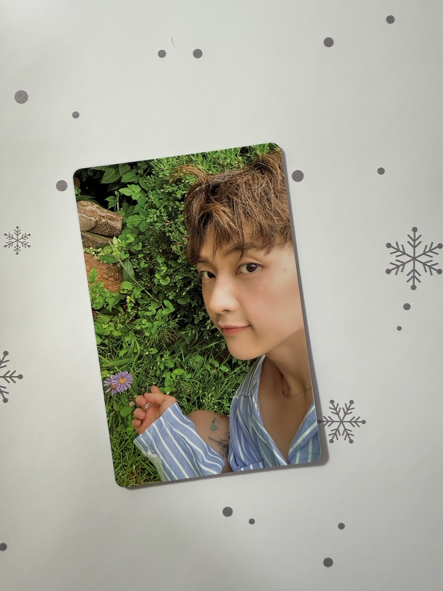 ZB1 mini4 綠版馬修專卡