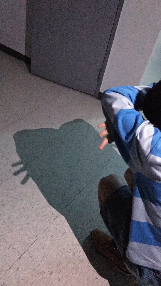 星光
