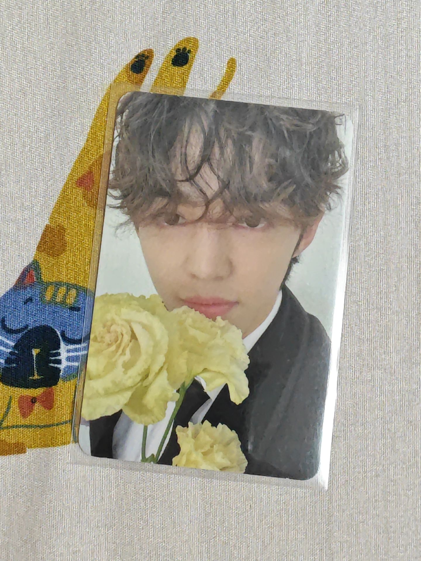 scoups mini10克拉盤隨機卡