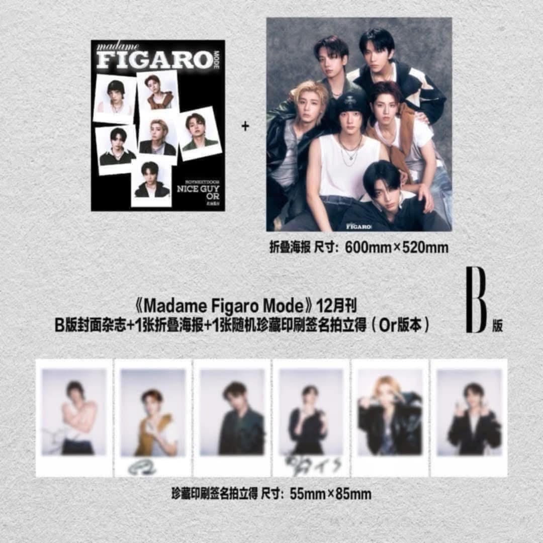 費加羅B版拍立得 朴成淏