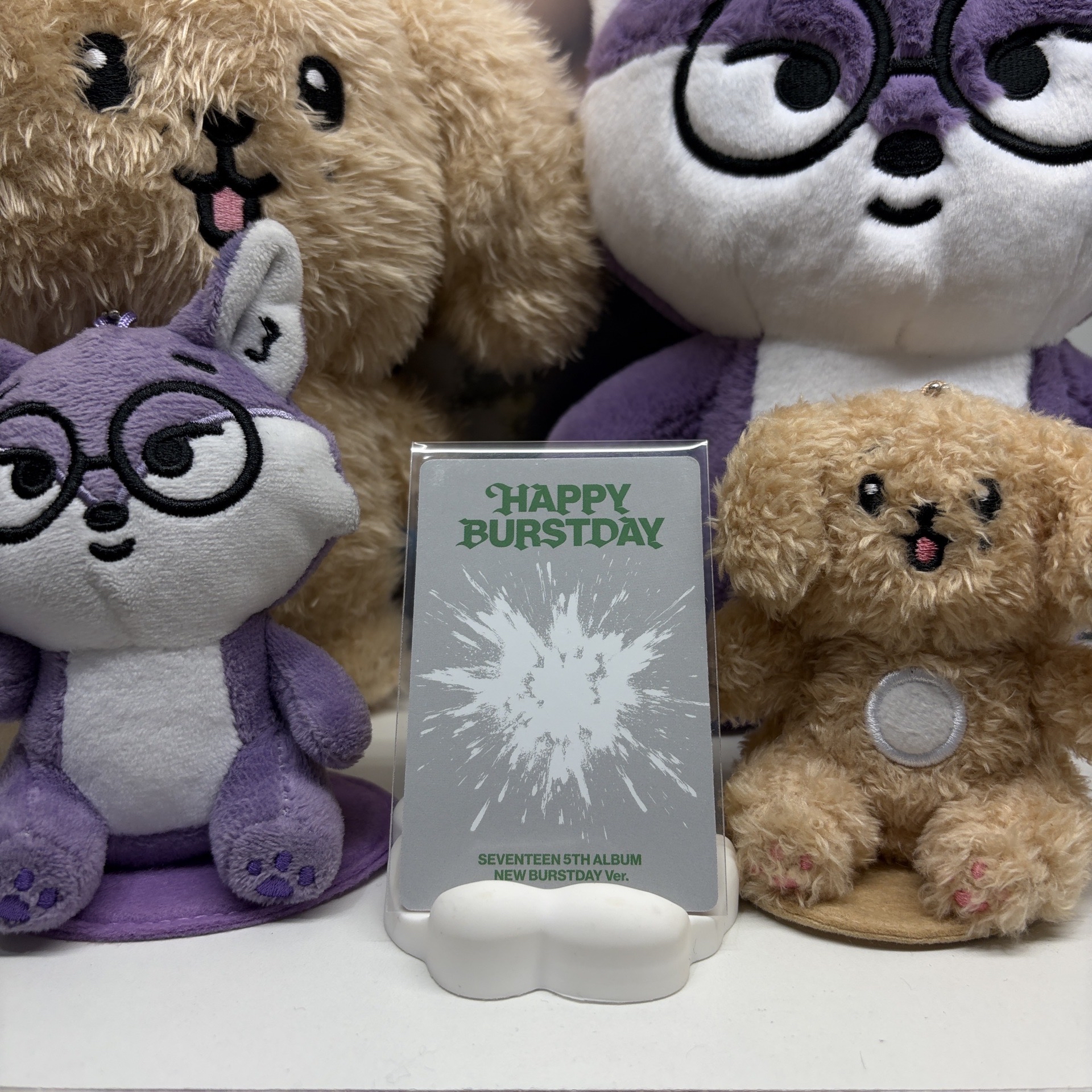 🦌知秀JOSHUA｜正五｜專輯卡｜NEW BURSTDAY ver.