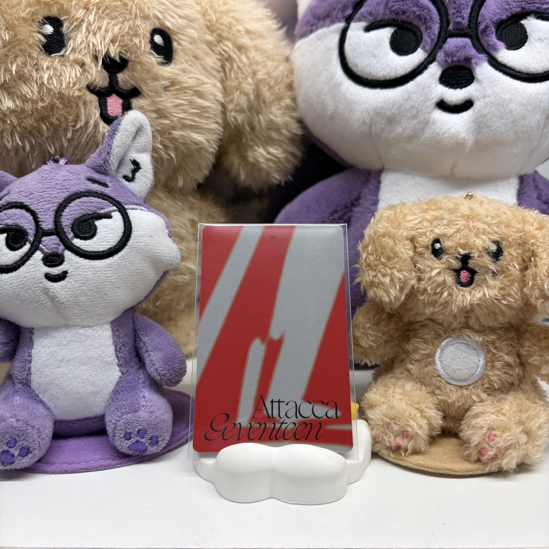 🍚知勳WOOZI｜MINI9｜專輯卡｜CARAT ver.｜嗚啊嘿