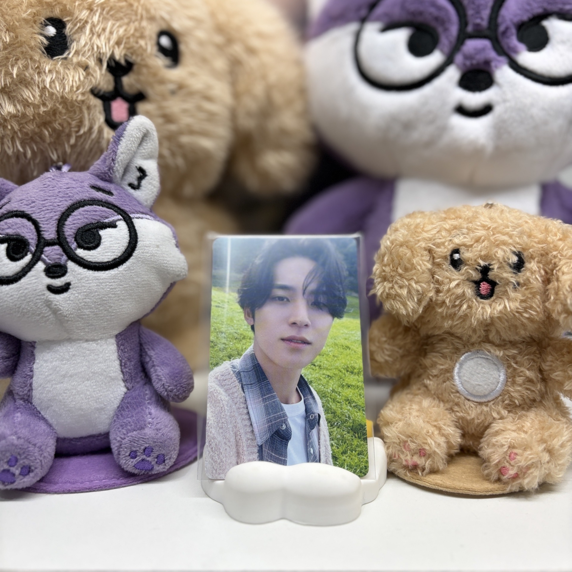 🐶玟奎MINGYU｜消費期限｜wvs｜愛知｜入場卡 / 場限卡 