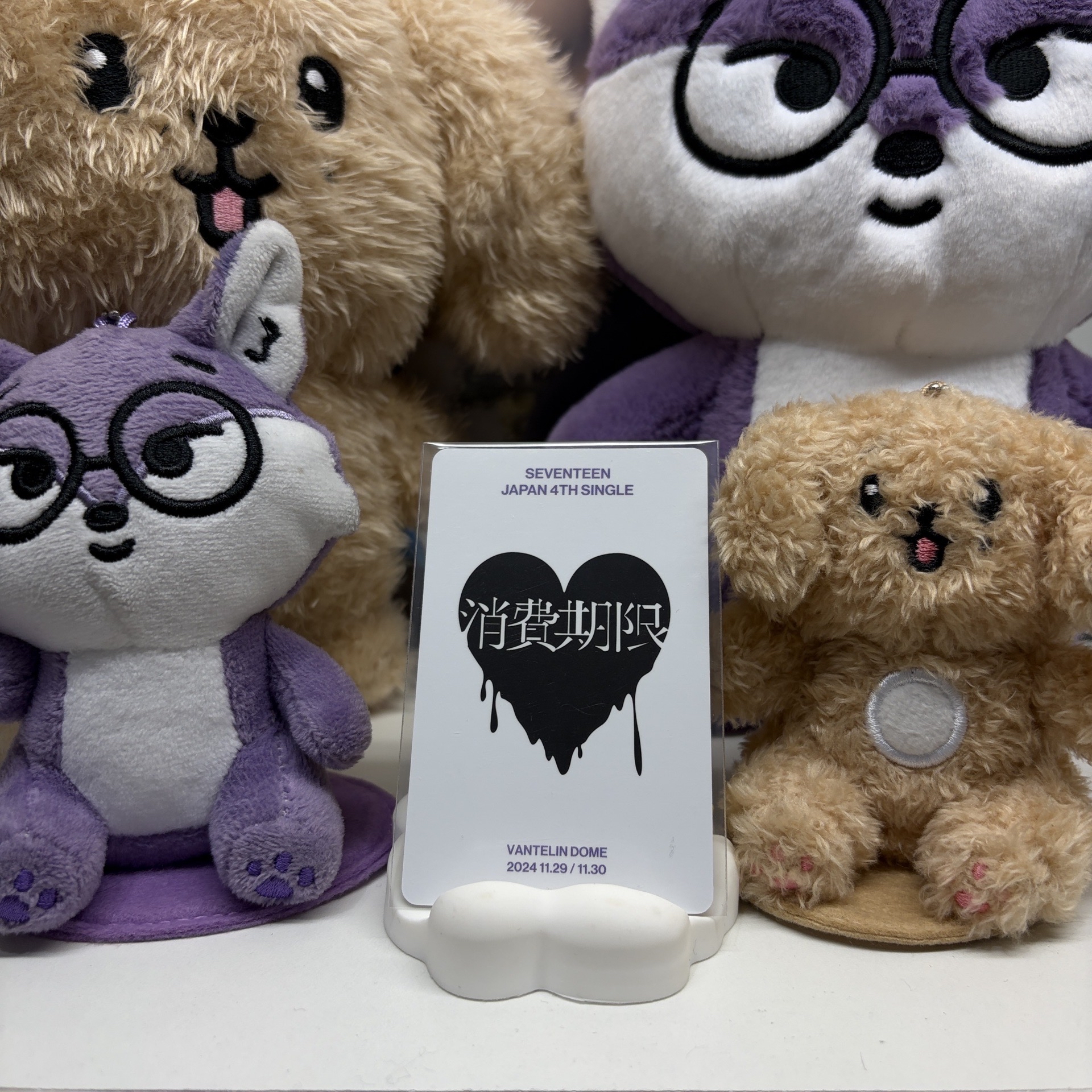 🐶玟奎MINGYU｜消費期限｜wvs｜愛知｜入場卡 / 場限卡 