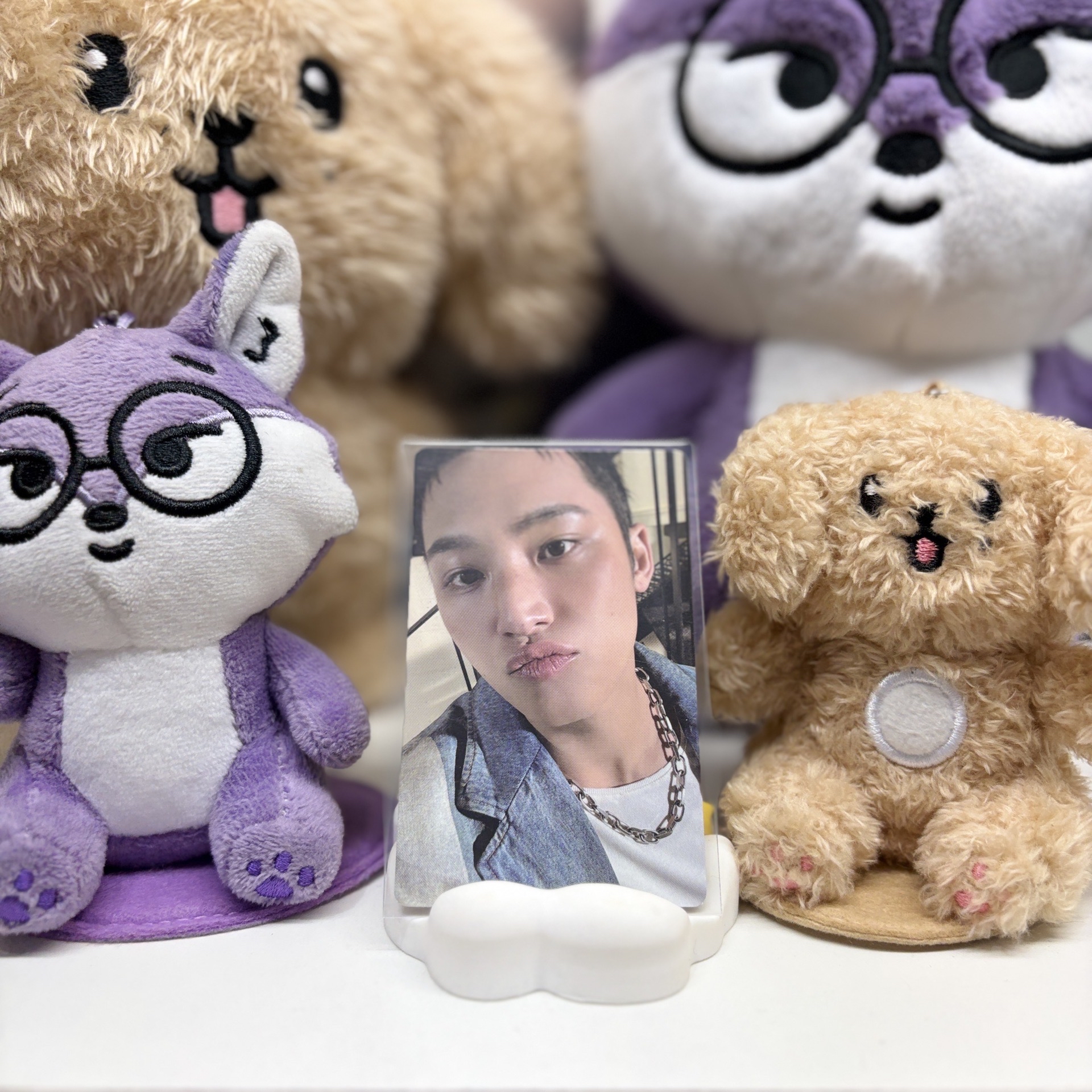 🐶玟奎MINGYU｜正五｜wvs PB預售｜特典卡 