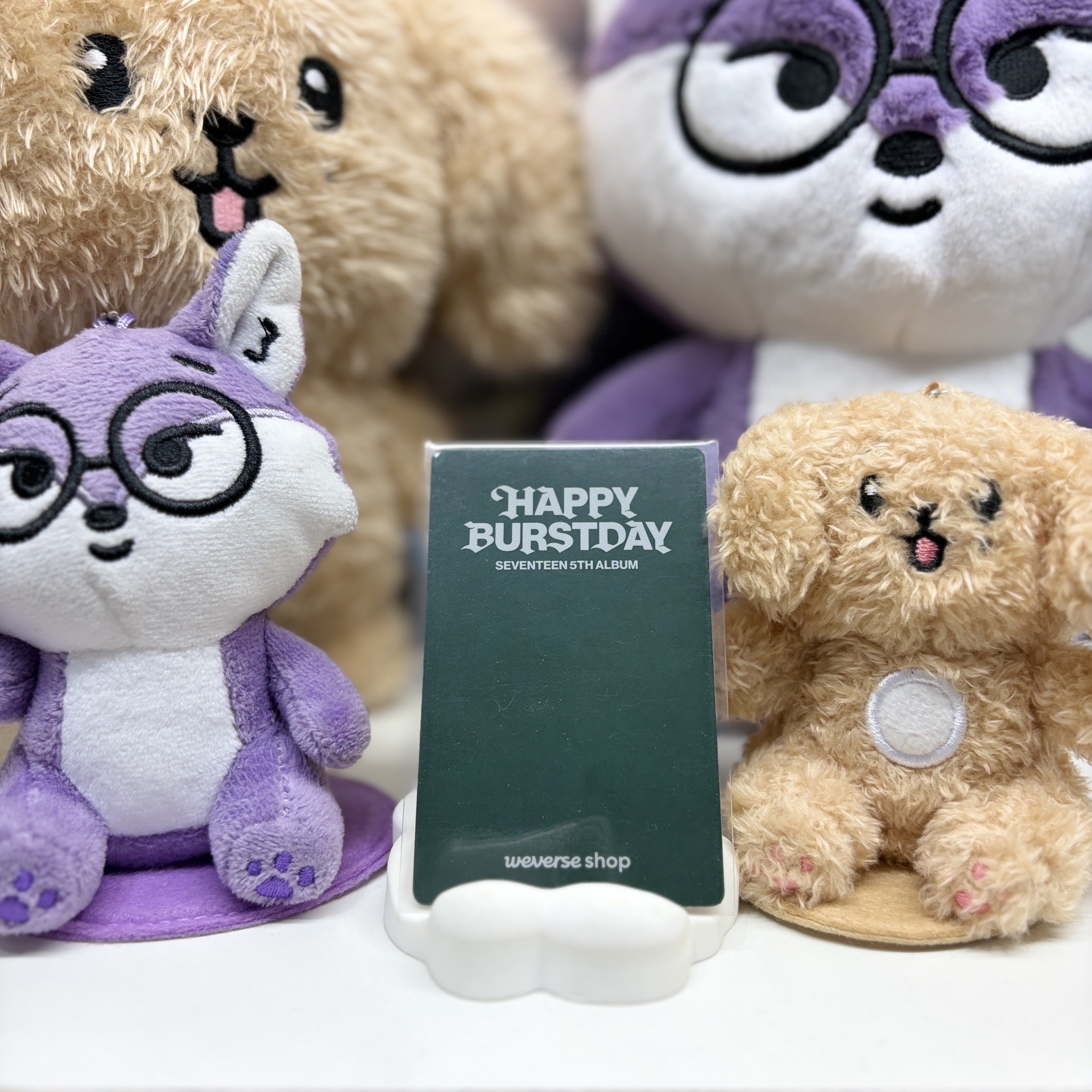 🐶玟奎MINGYU｜正五｜wvs PB預售｜特典卡 