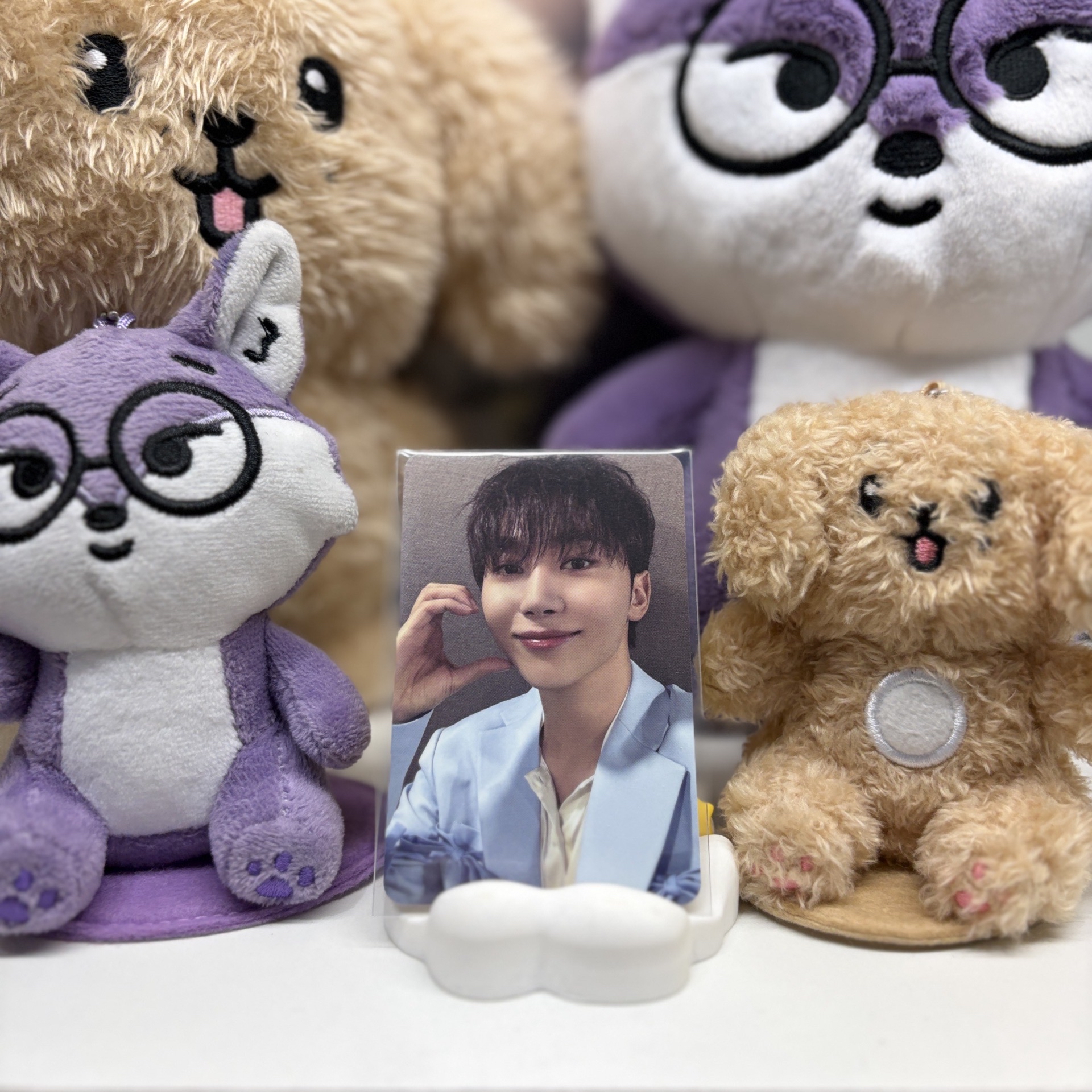 🍊勝寛SEUNGKWAN｜24’克拉島｜演唱會｜DVD / CD 卡｜KEY ver.