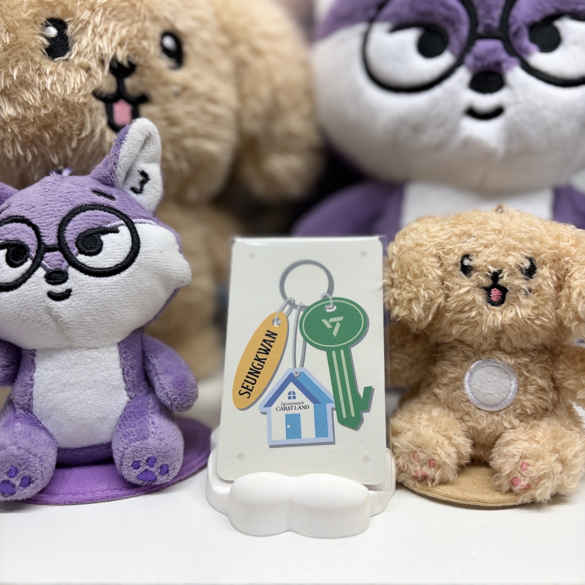 🍊勝寛｜24’克拉島｜演唱會｜DVD / CD 卡｜KEY ver.