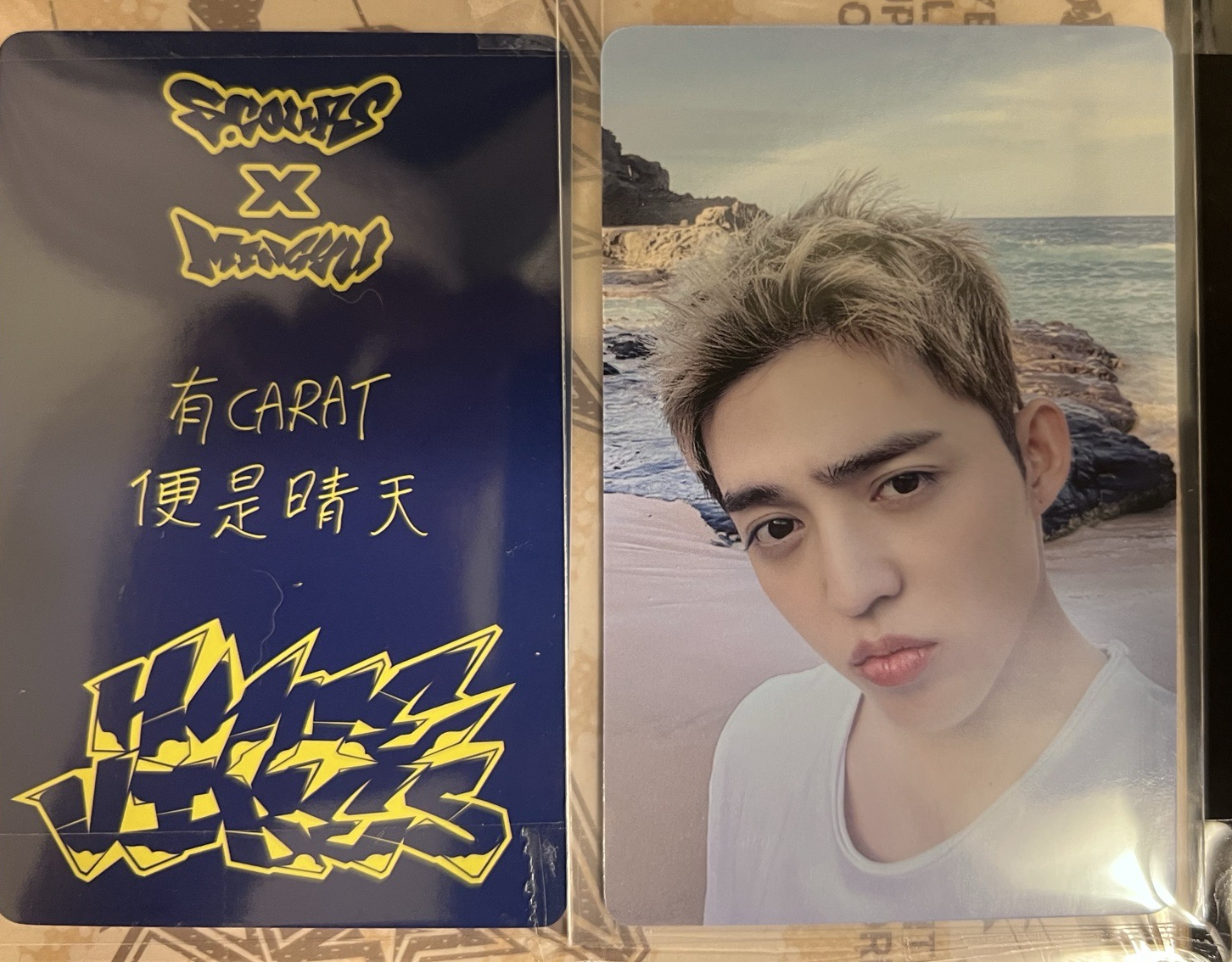 CxM一直娛1.0 中文卡背