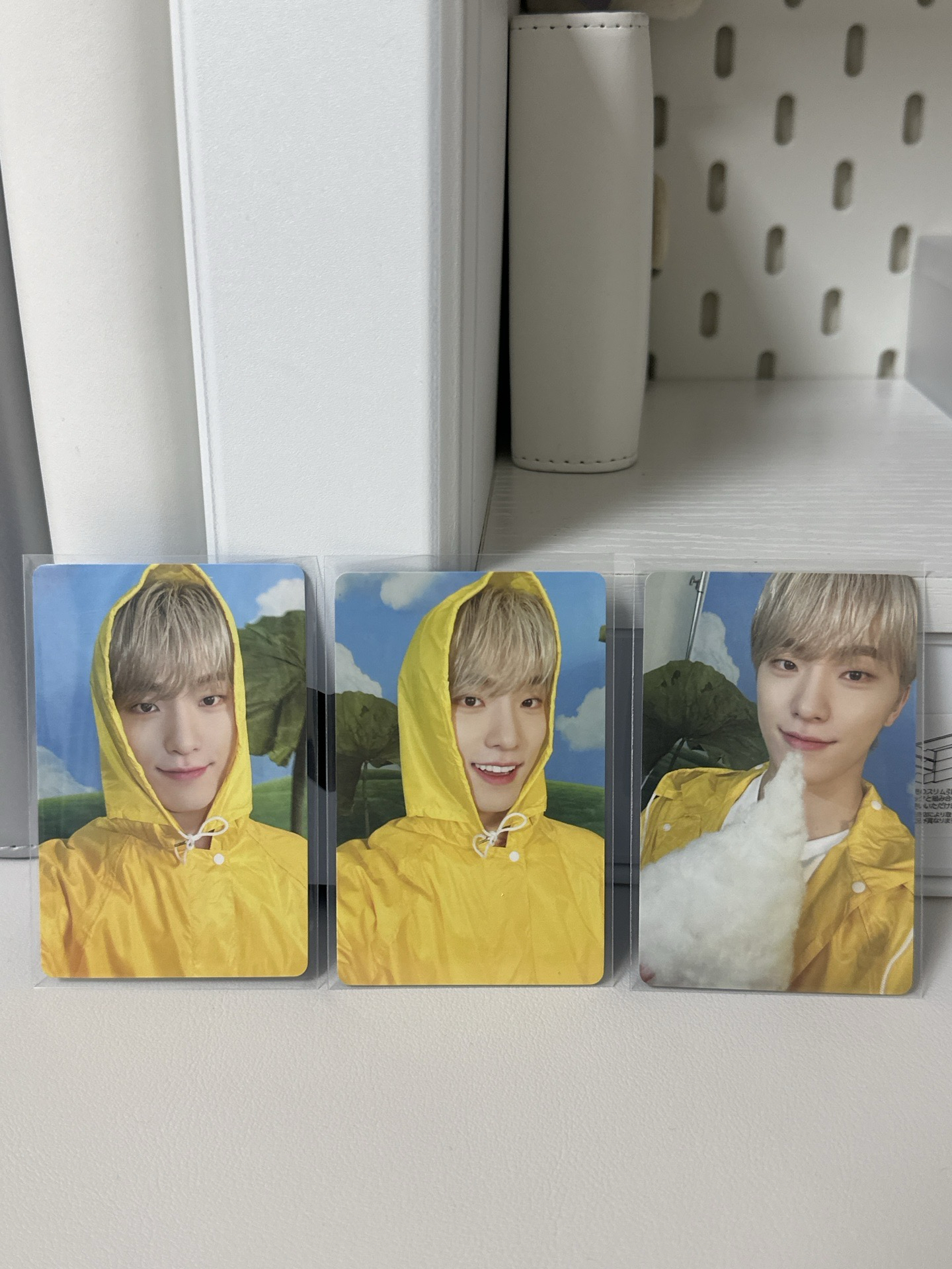 迷十一 克拉盤 專卡