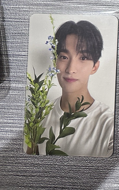 🤍seventeen 精選專 李碩珉