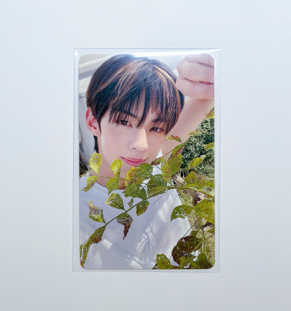 TWS 道勳 迷二 環球