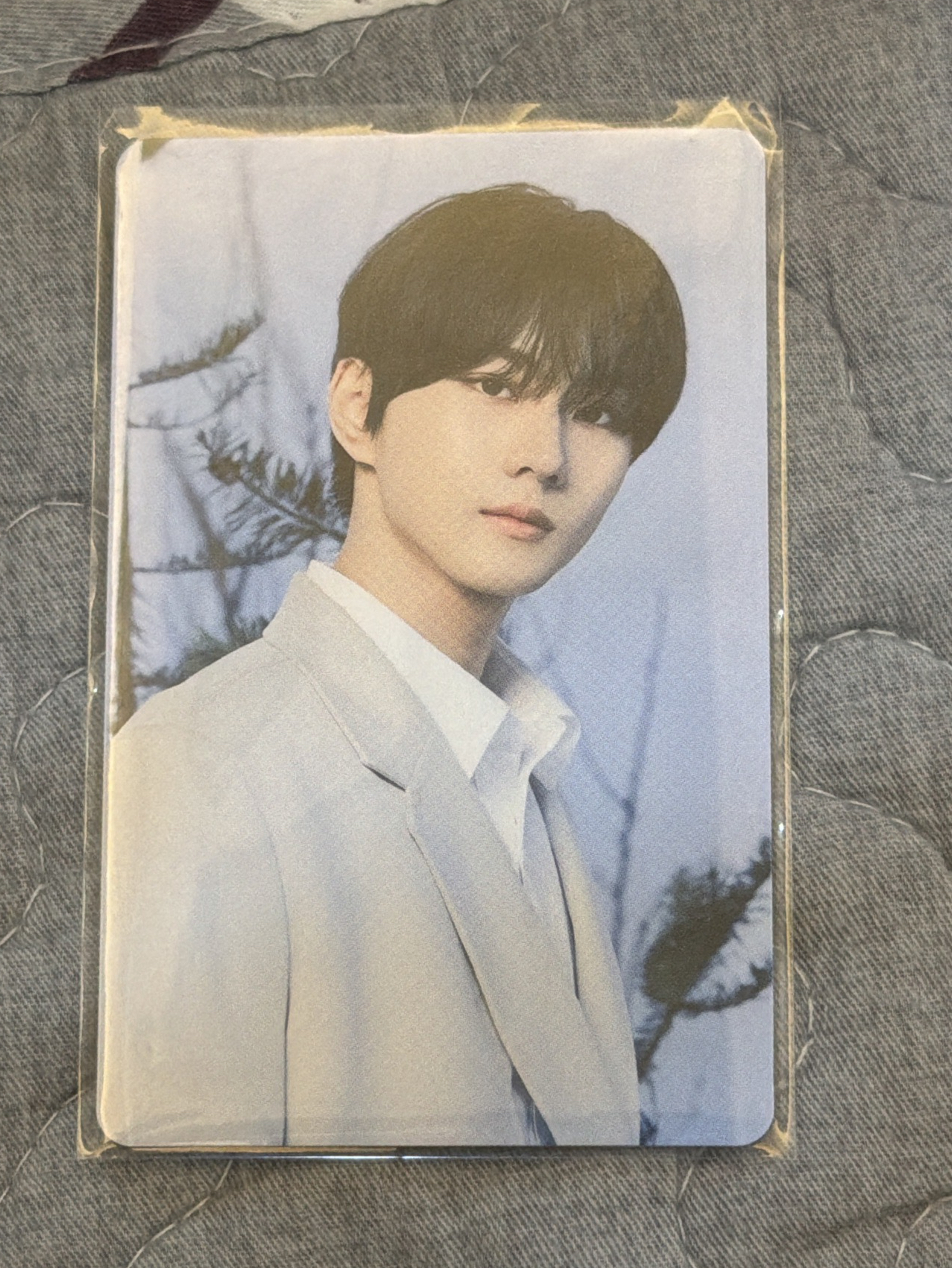 日巡wtl 隨機官拍卡禎元