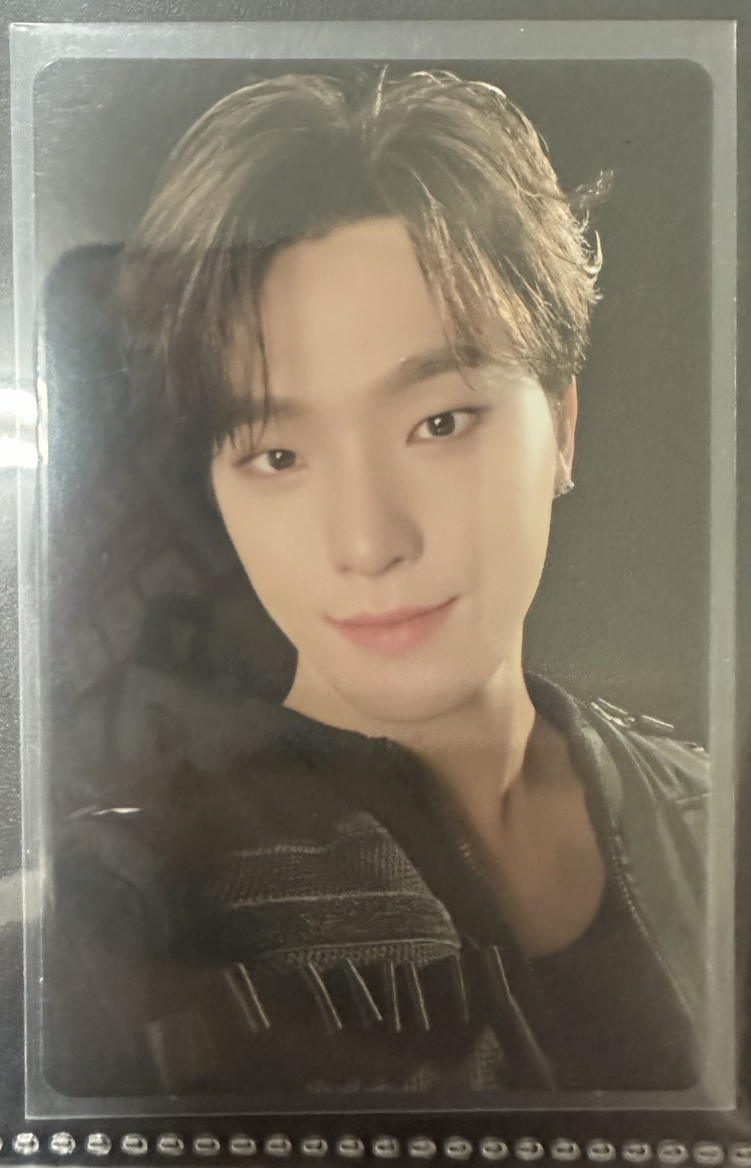 FOLLOW AGAIN 卡包卡 Dino