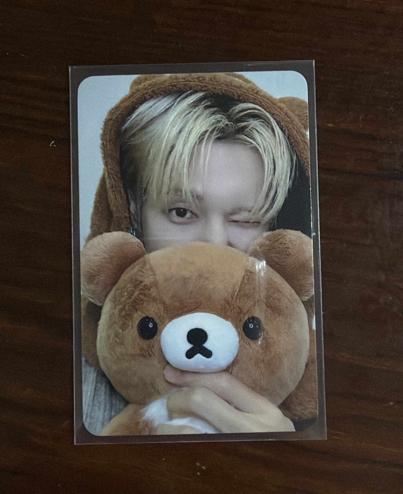 Hellolive 簽售 蜜茶熊