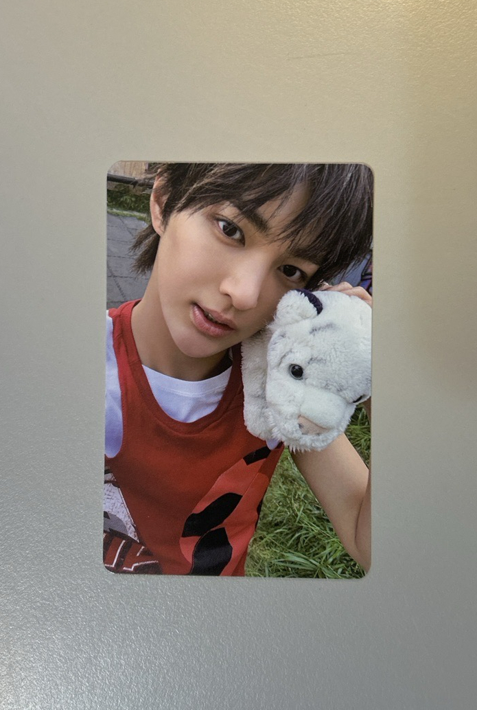 安乾鎬 電子專B版 專卡