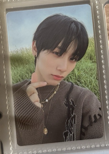 WHY 專輯卡 泰山