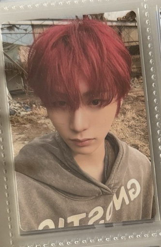 No Genrn專輯卡 泰山