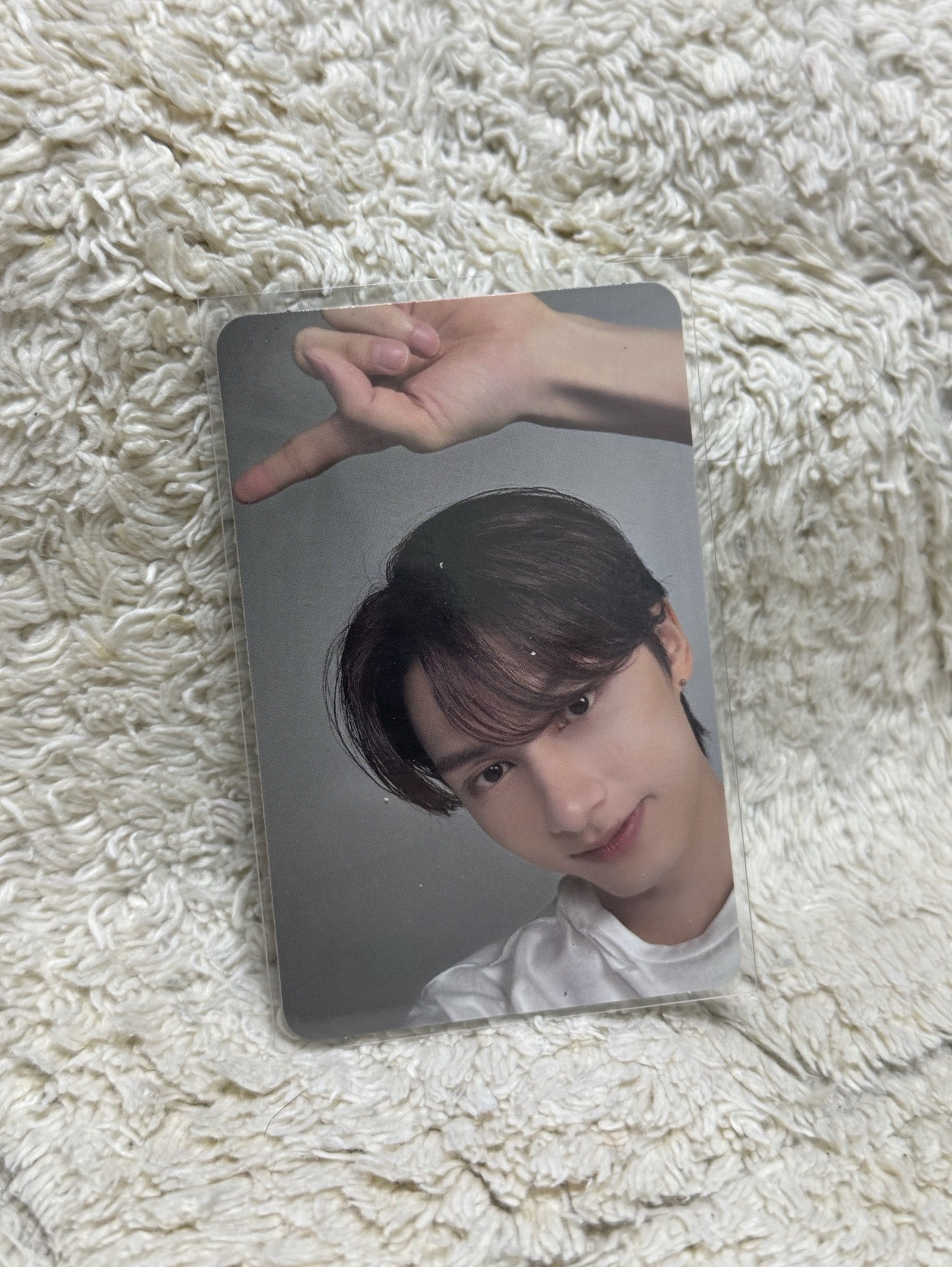 精選專 專輯卡 精選輯｜CARAT ver.