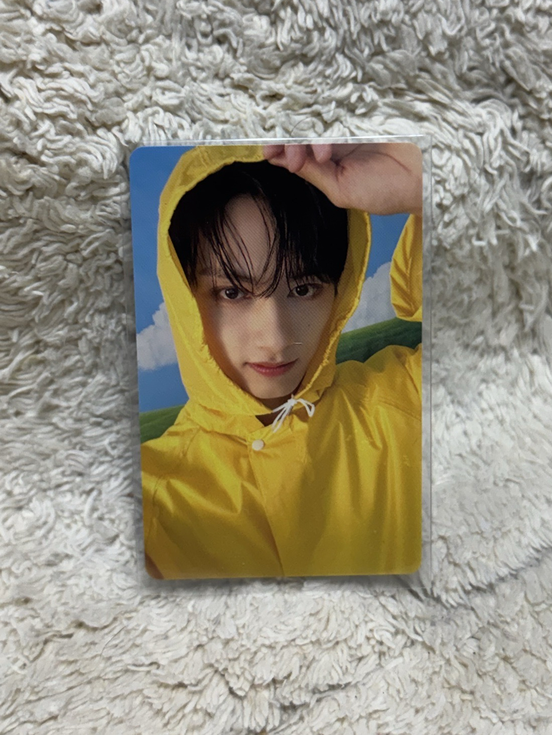 MINI11 專輯卡 ｜CARAT ver.