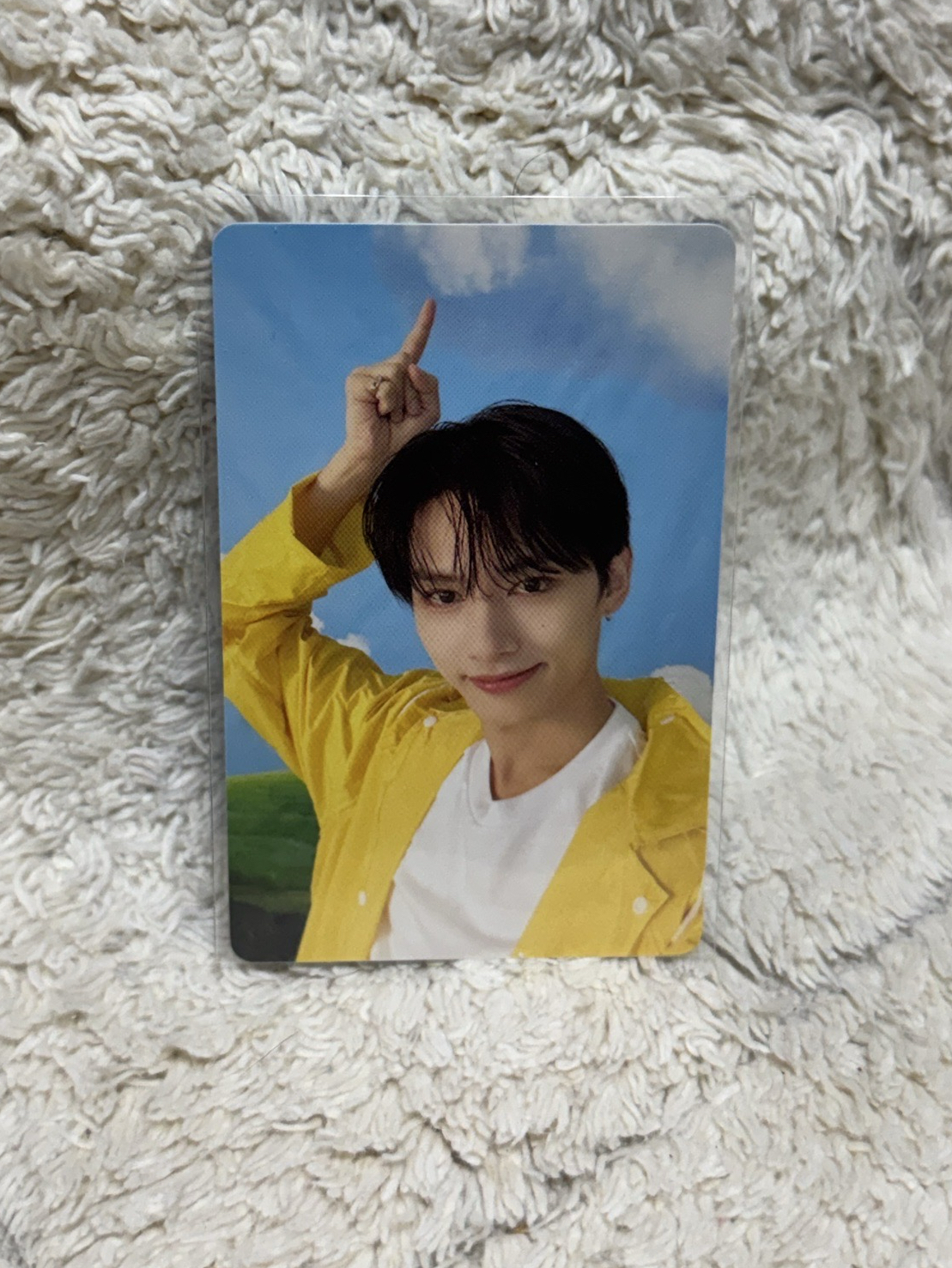 MINI11 專輯卡 ｜CARAT ver.