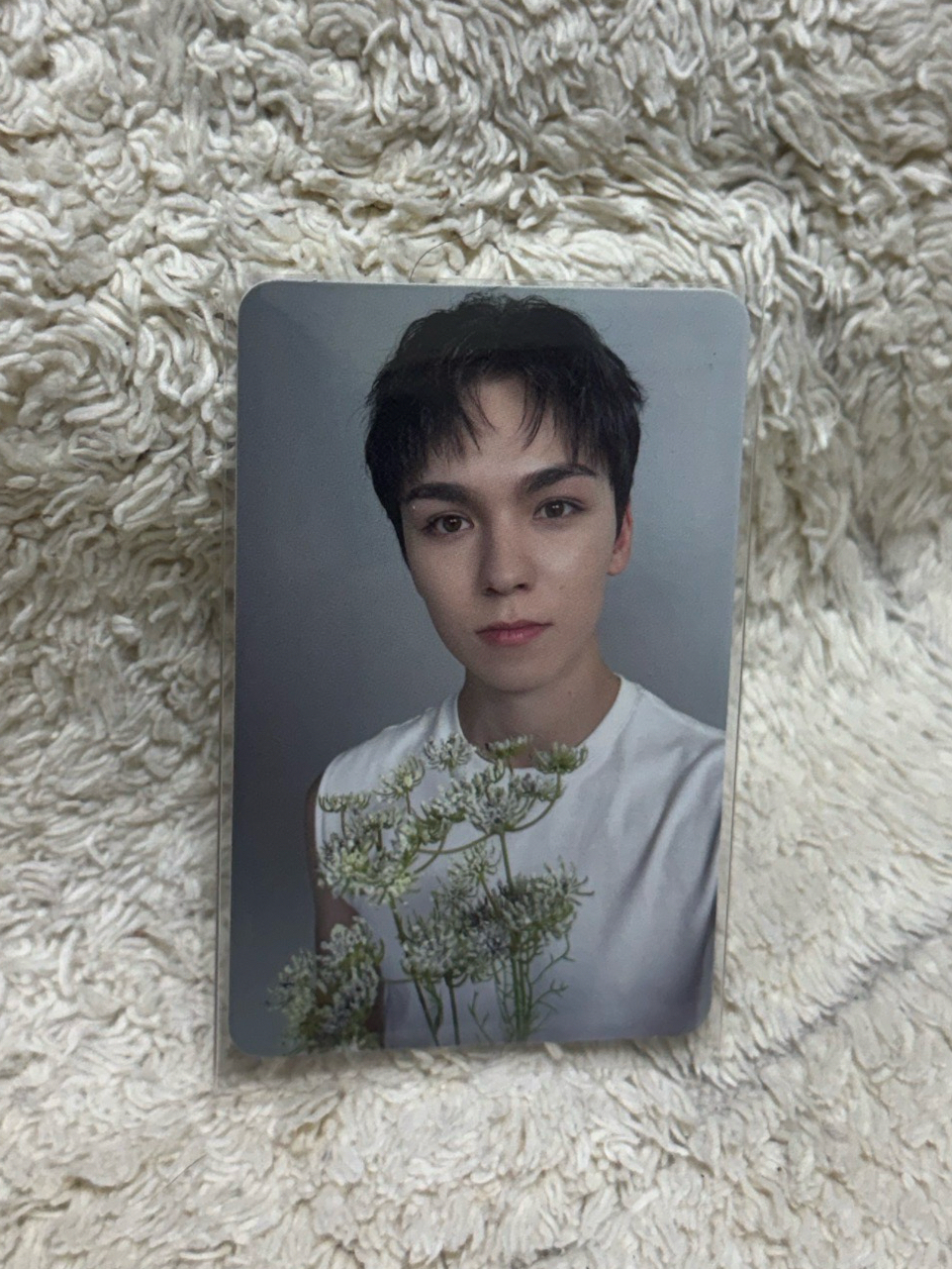 精選專 專輯卡 精選輯｜CARAT ver.