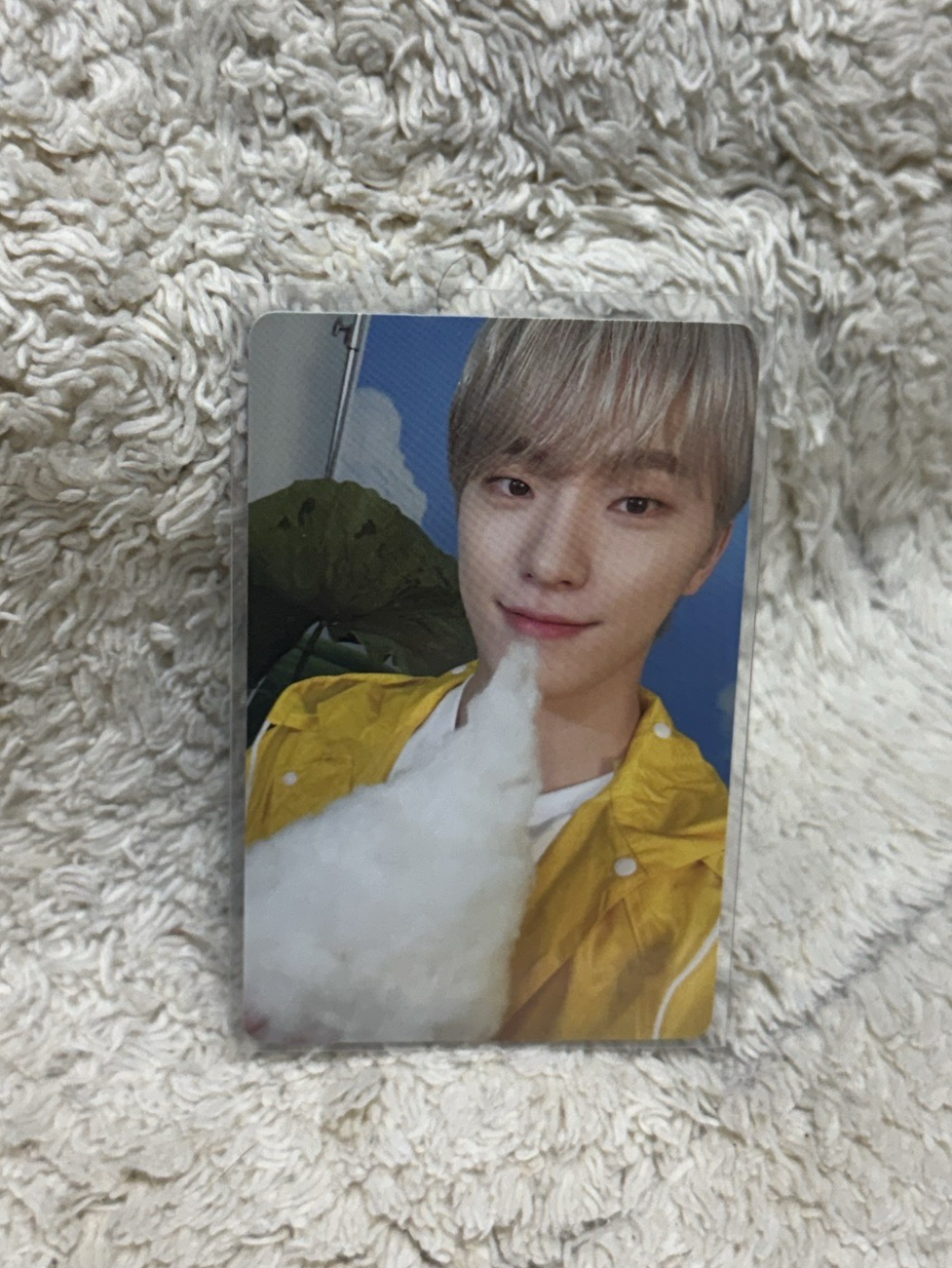 MINI11 專輯卡 ｜CARAT ver.