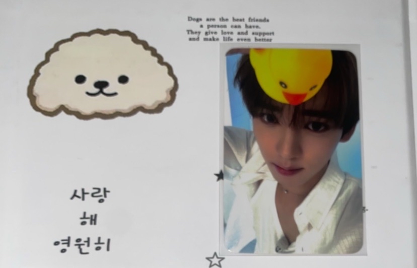 zb1迷四 sw 鴨子特典卡