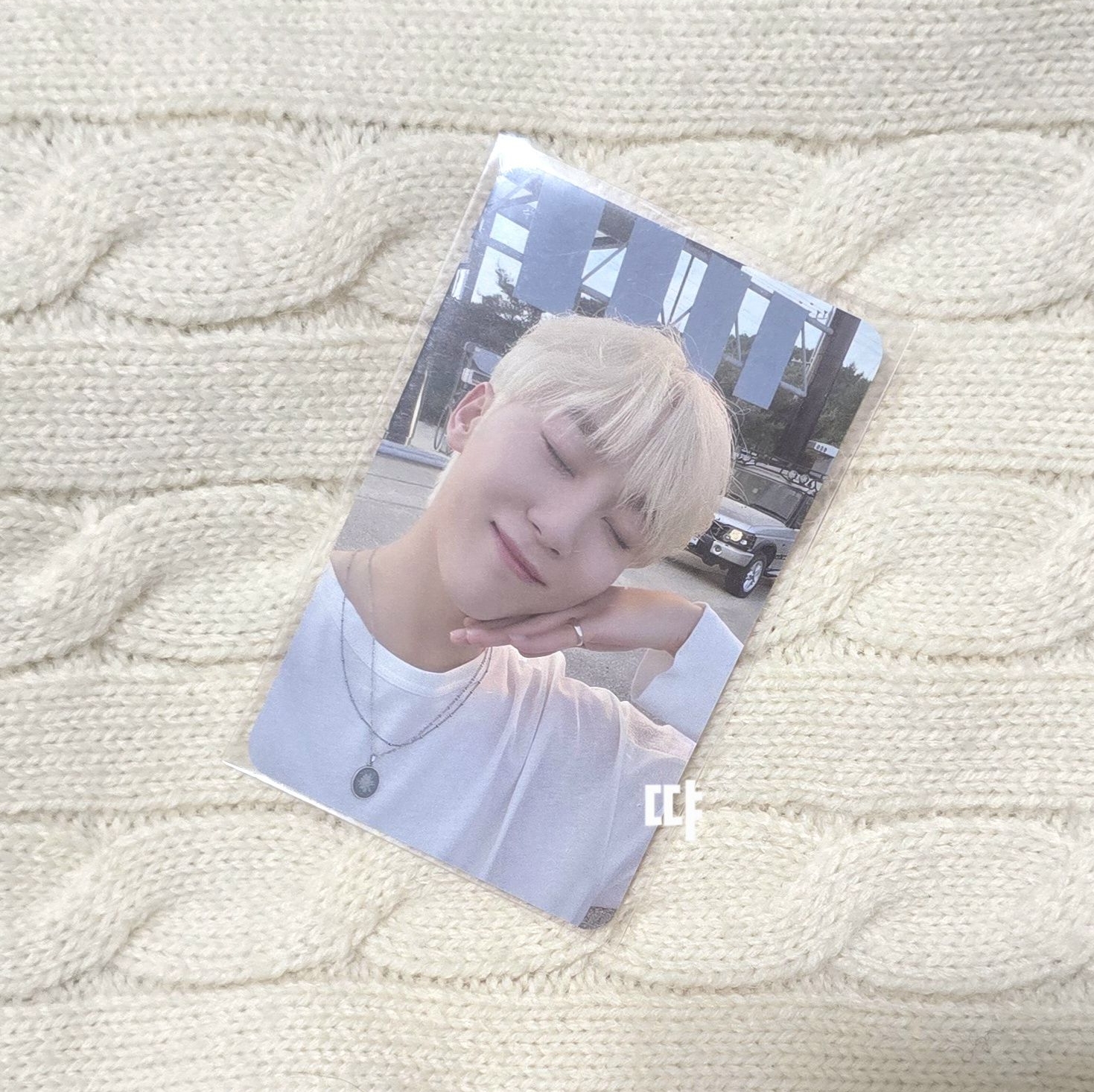 🌸現貨 正四後續 wvs 預售特典 寛