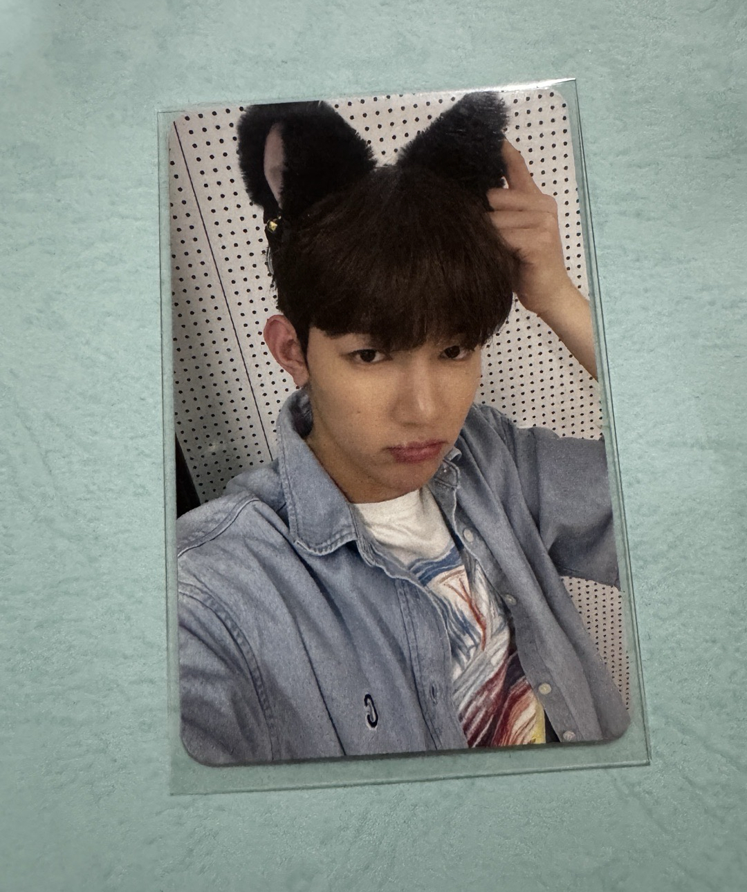 ZB1章昊 迷一特典 貓耳