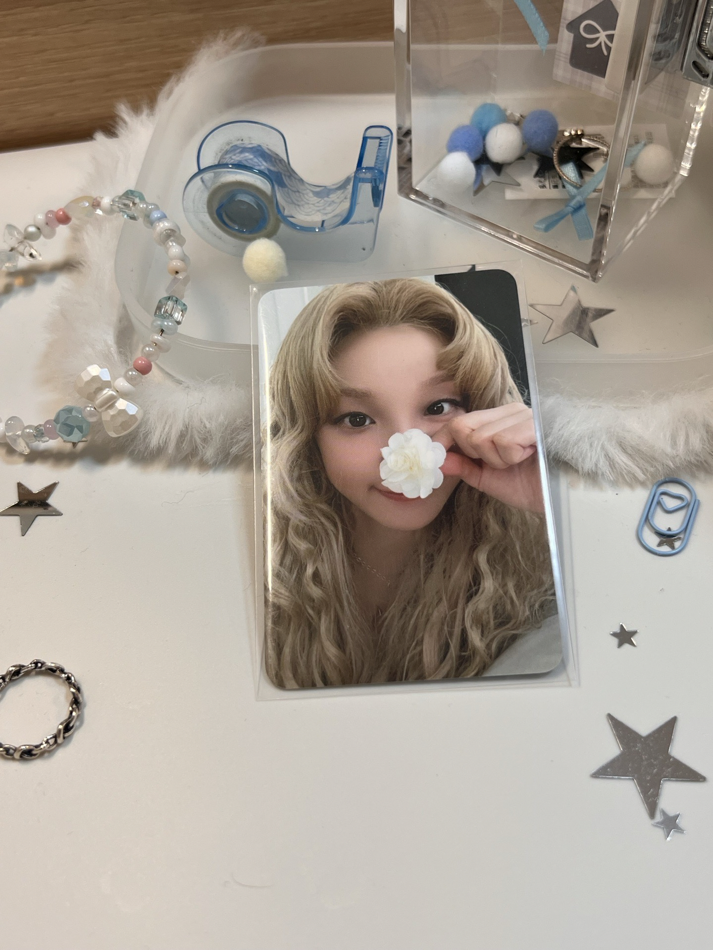 快閃/七週年卡包小卡