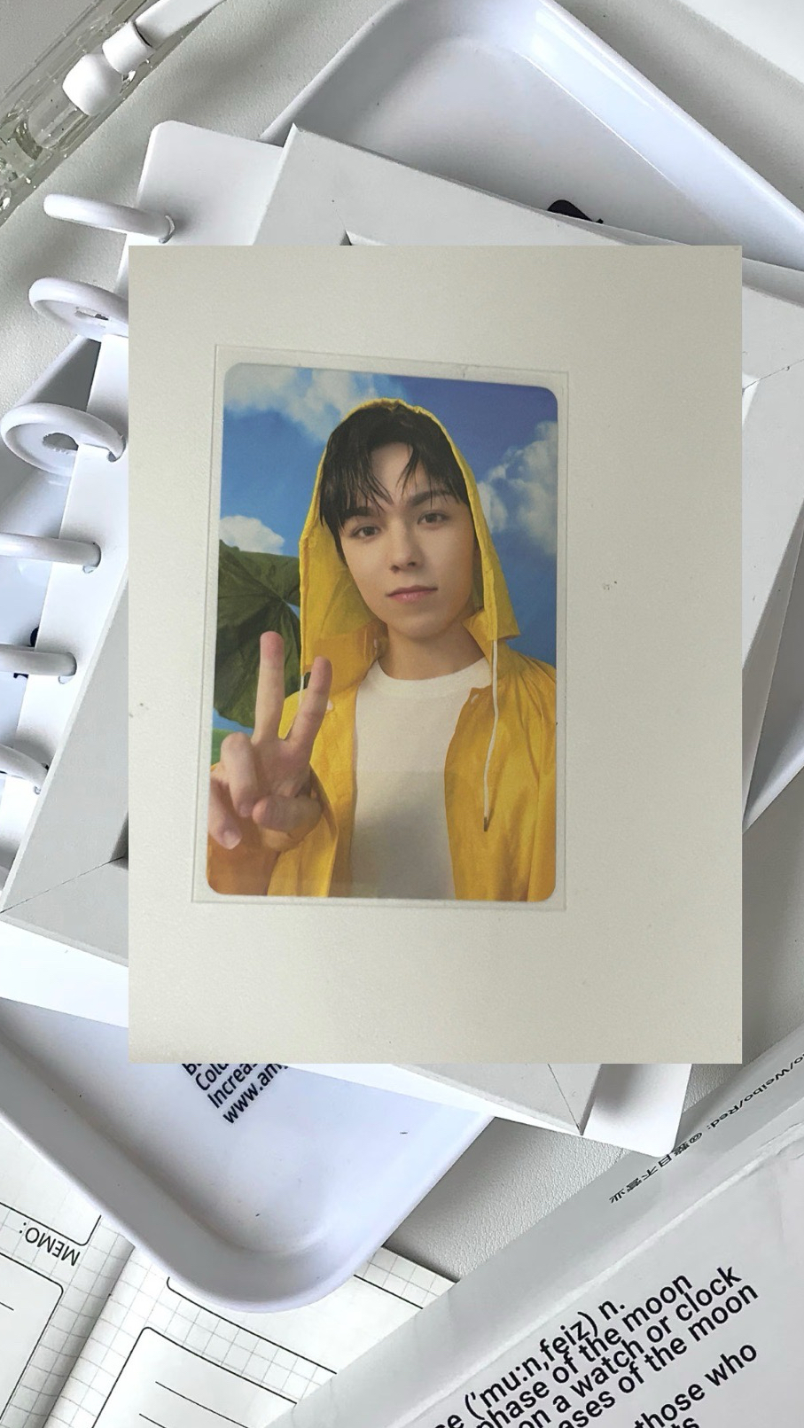 Mini十一雨衣盤率🐻‍❄️