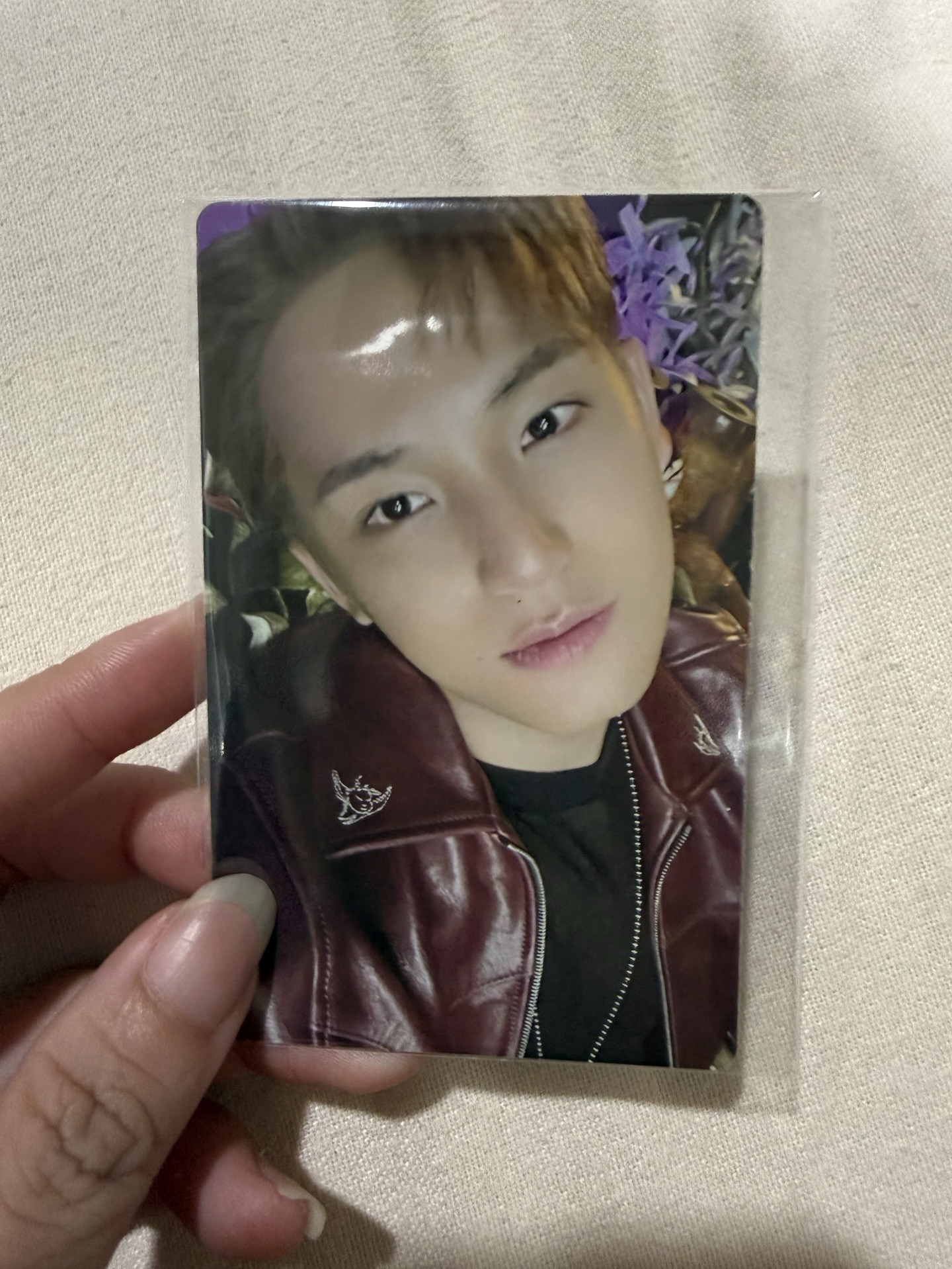 HYPE VIBES wvs C版預售 特典卡 