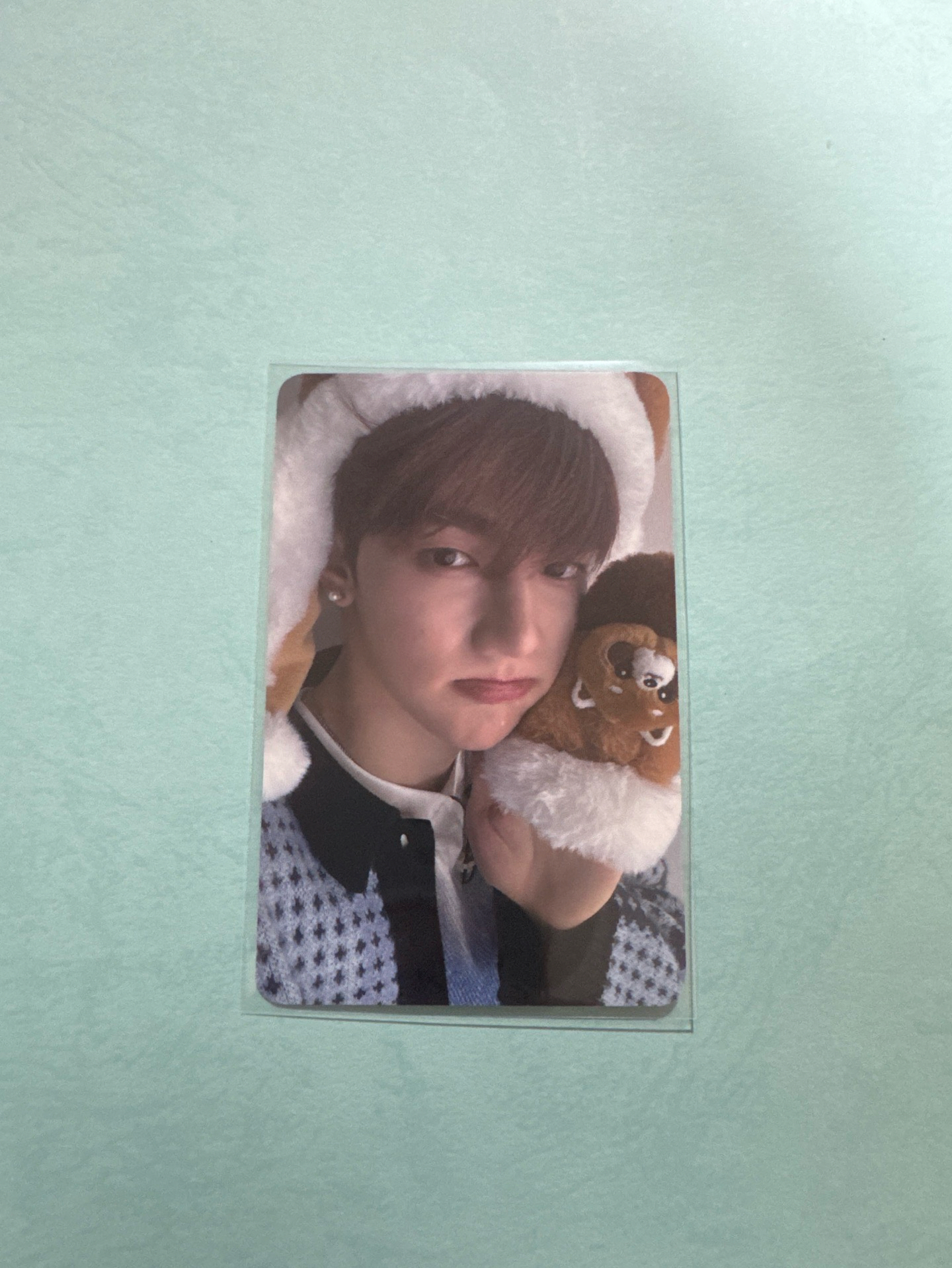 ZB1章昊 迷三 小熊貓